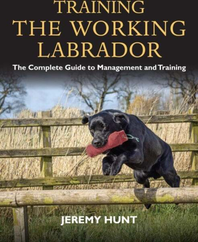 Training the Working Labrador av Jeremy Hunt