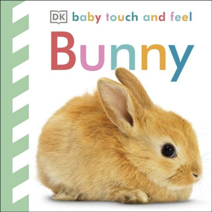 Baby Touch and Feel Bunny av DK