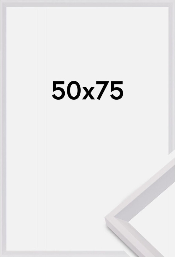 Ramme Globe Akrylglass Hvit 50x75 Cm