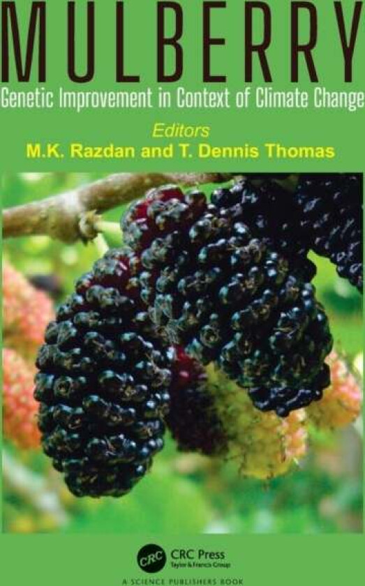 Mulberry