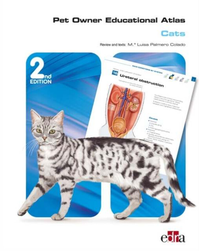 Pet Owner Educational Atlas: Cats -2nd edition av Grupo Asis Biomedia S.L.