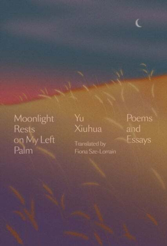 Moonlight Rests in My Left Palm av Yu Xiuhua