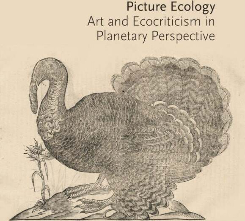 Picture Ecology
