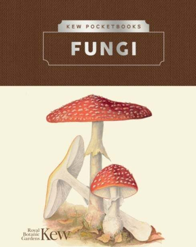 Kew Pocketbooks: Fungi av Royal Botanic Gardens Kew