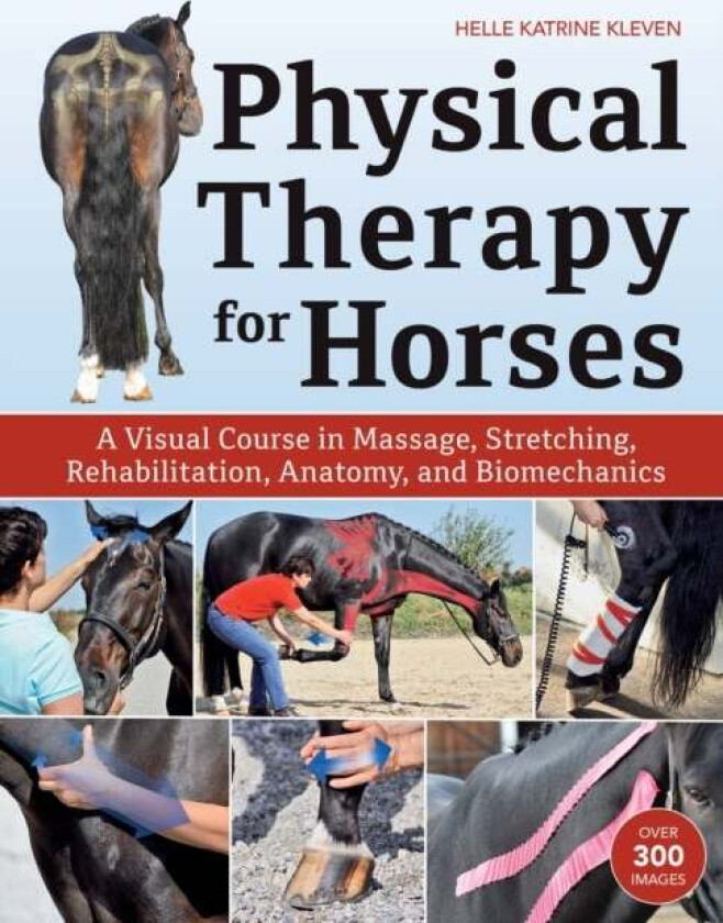 Physical Therapy for Horses av Helle Katrine Kleven