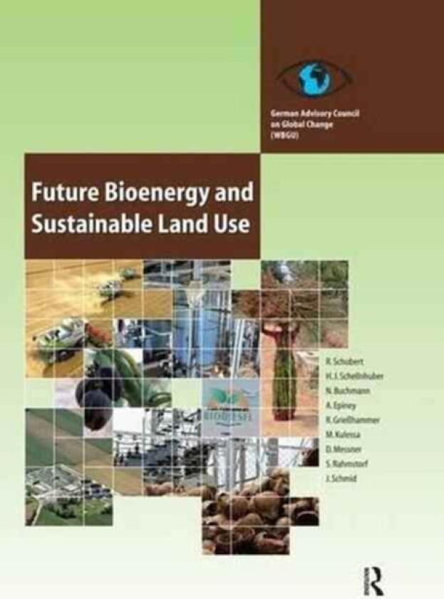 Future Bioenergy and Sustainable Land Use av Renate Schubert