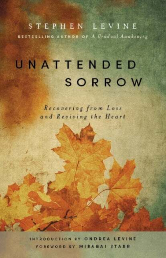 Unattended Sorrow av Stephen Levine