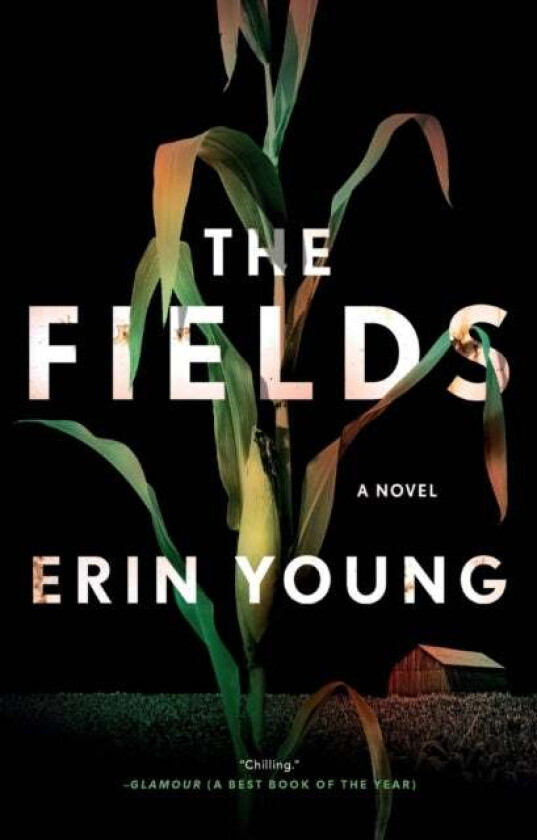 The Fields av Erin Young