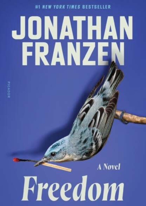 Freedom av Jonathan Franzen