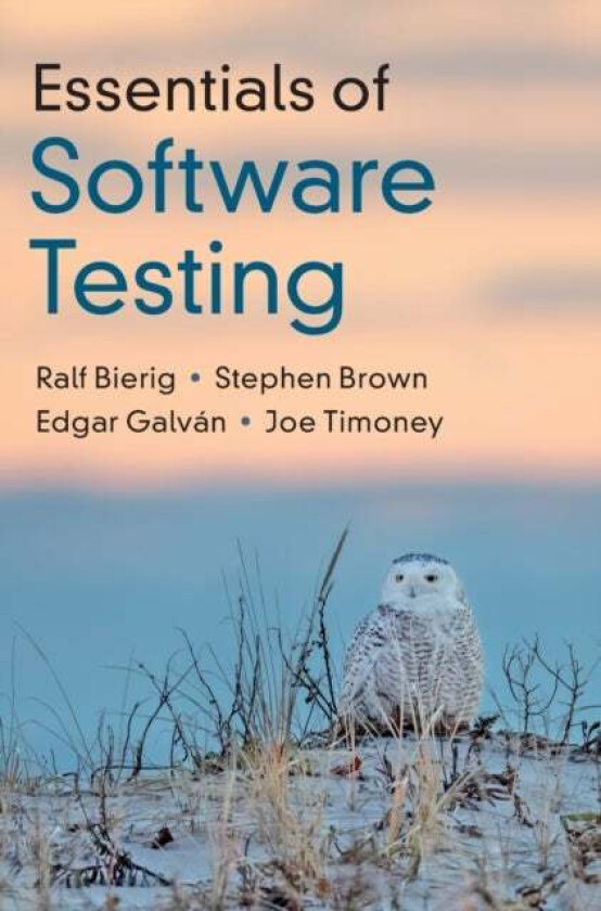 Essentials of Software Testing av Ralf (Maynooth University Ireland) Bierig, Stephen (Maynooth University Ireland) Brown, Edgar (Maynooth University I