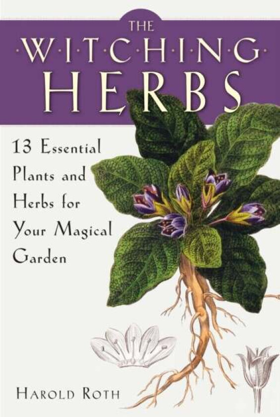 The Witching Herbs av Harold (Harold Roth) Roth