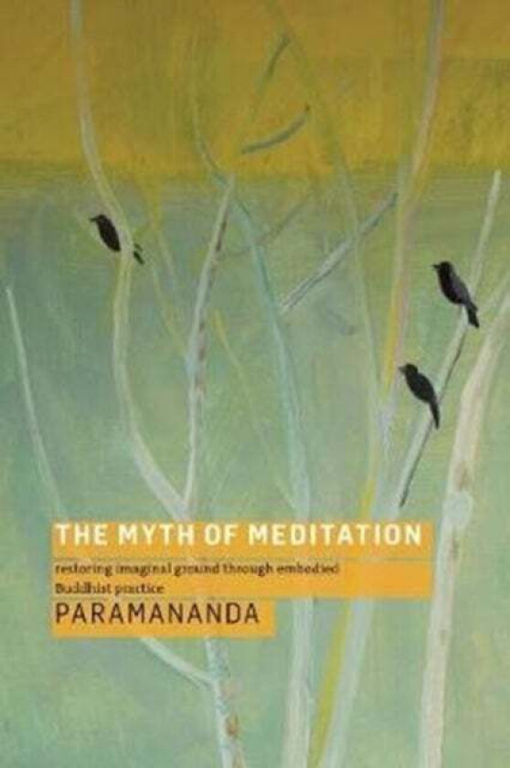 The Myth of Meditation av Paramananda