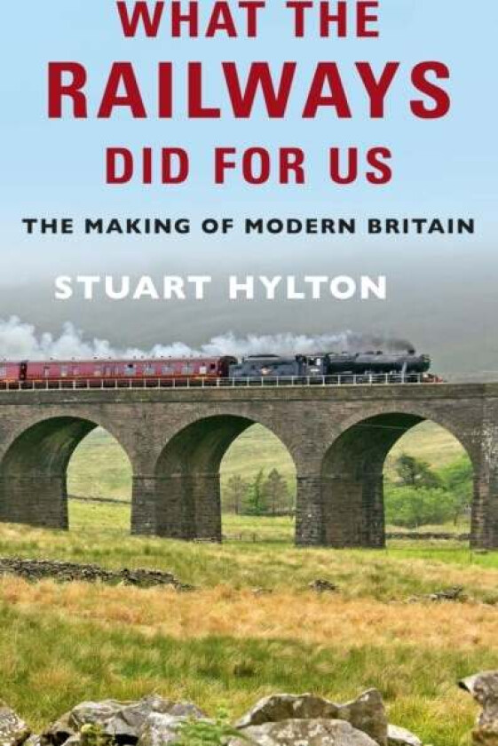 What the Railways Did For Us av Stuart Hylton