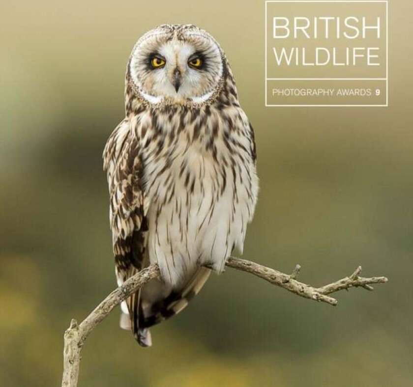 British Wildlife Photography Awards 9 av Maggie Gowan