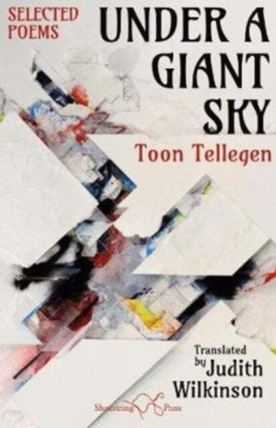 Under a Giant Sky av Toon Tellegen