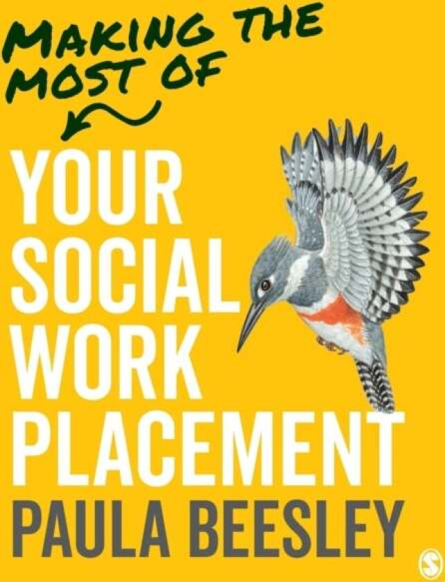 Making the Most of Your Social Work Placement av Paula Beesley