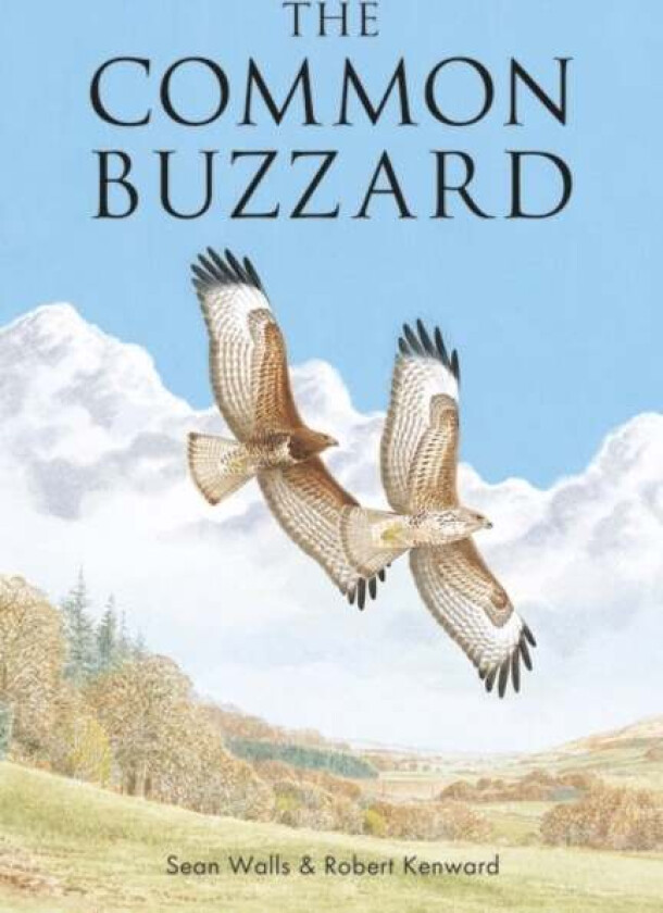 The Common Buzzard av Sean Walls, Professor Robert Kenward