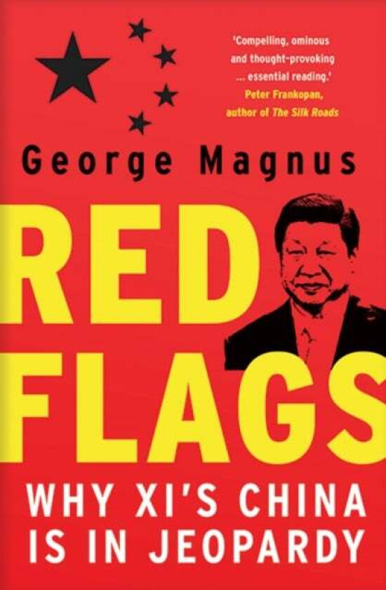 Red Flags av George Magnus