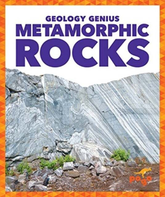 Metamorphic Rocks av Rebecca Pettiford