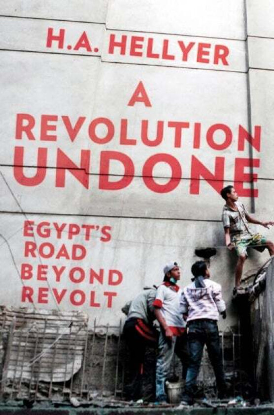 A Revolution Undone av H. A. Hellyer