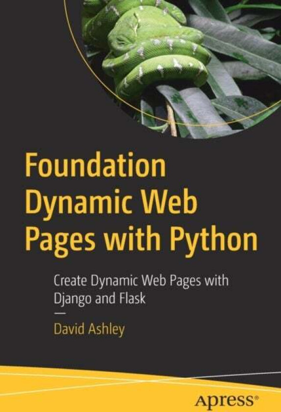 Foundation Dynamic Web Pages with Python av David Ashley