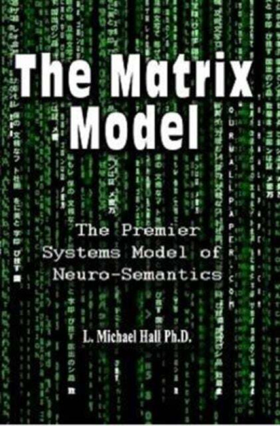Matrix Model av L Michael Hall