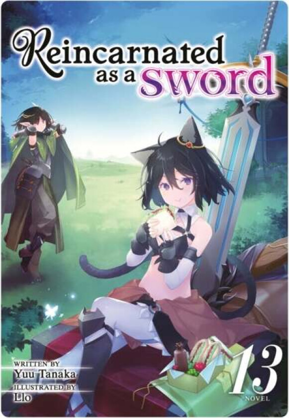 Reincarnated as a Sword (Light Novel) Vol. 13 av Yuu Tanaka