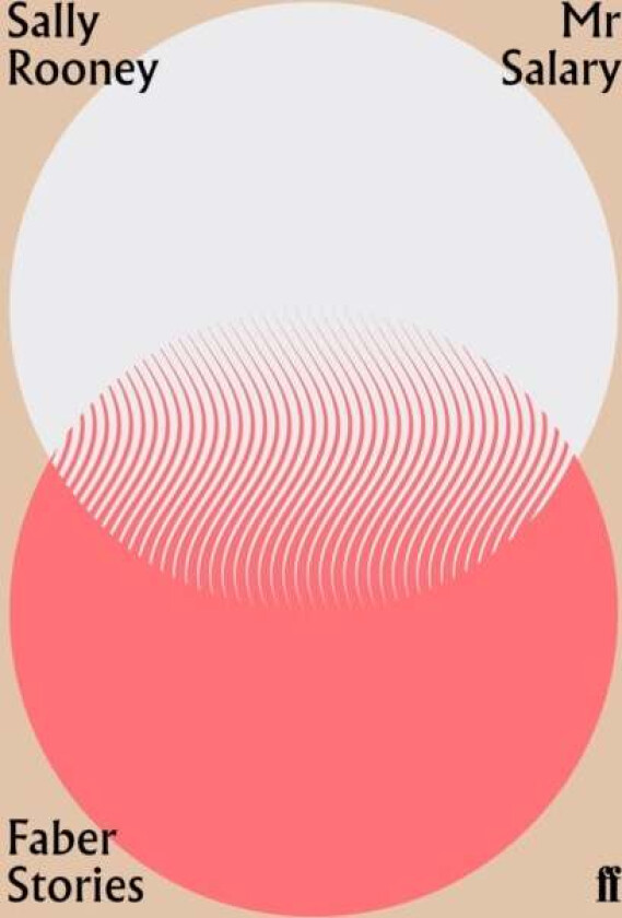 Mr Salary av Sally Rooney
