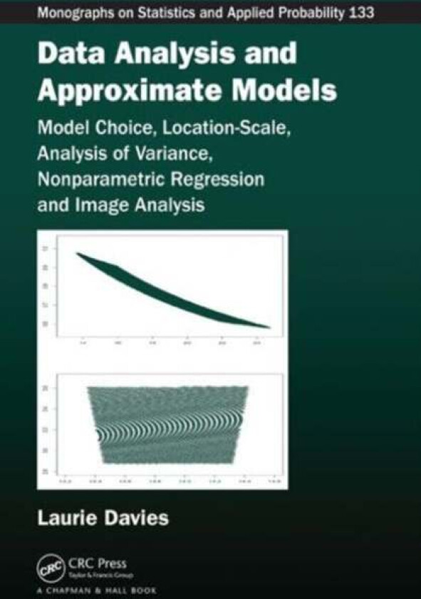 Data Analysis and Approximate Models av Patrick Laurie (University of Duisburg-Essen Germany) Davies