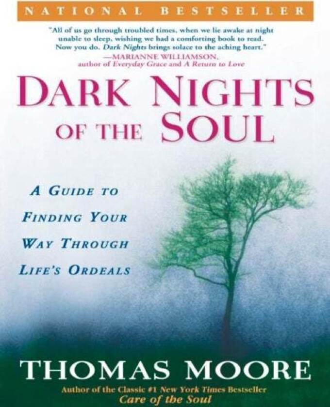 Dark Nights of the Soul av Thomas Moore