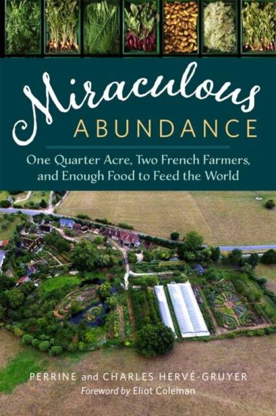 Miraculous Abundance av Perrine Herve-Gruyer, Charles Herve-Gruyer