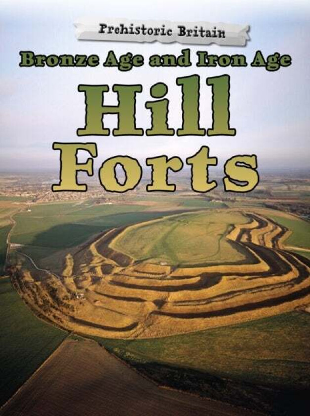 Bronze Age and Iron Age Hill Forts av Dawn Finch
