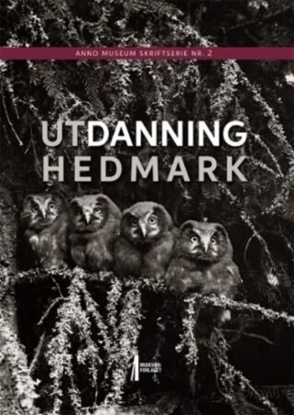 Utdanning Hedmark av Bjørn Sverre Hol Haugen