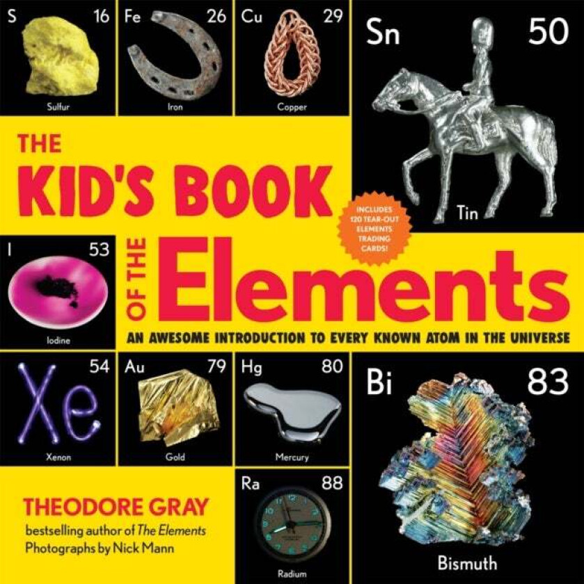 The Kid's Book of the Elements av Theodore Gray