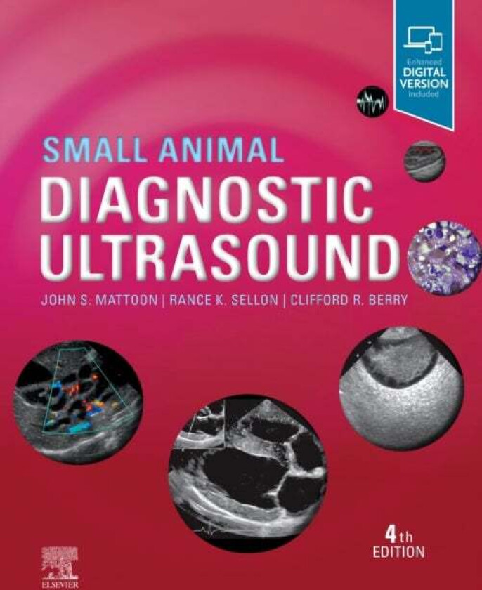 Small Animal Diagnostic Ultrasound av John S. (Diplomate American College of Veterinary Radiology Department of Veterinary Clinical Sciences Washingto