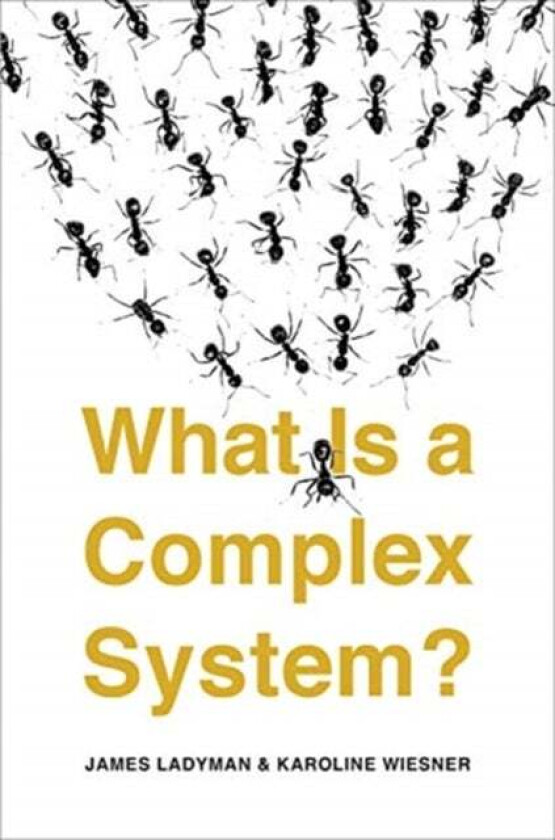 What Is a Complex System? av James Ladyman, Karoline Wiesner