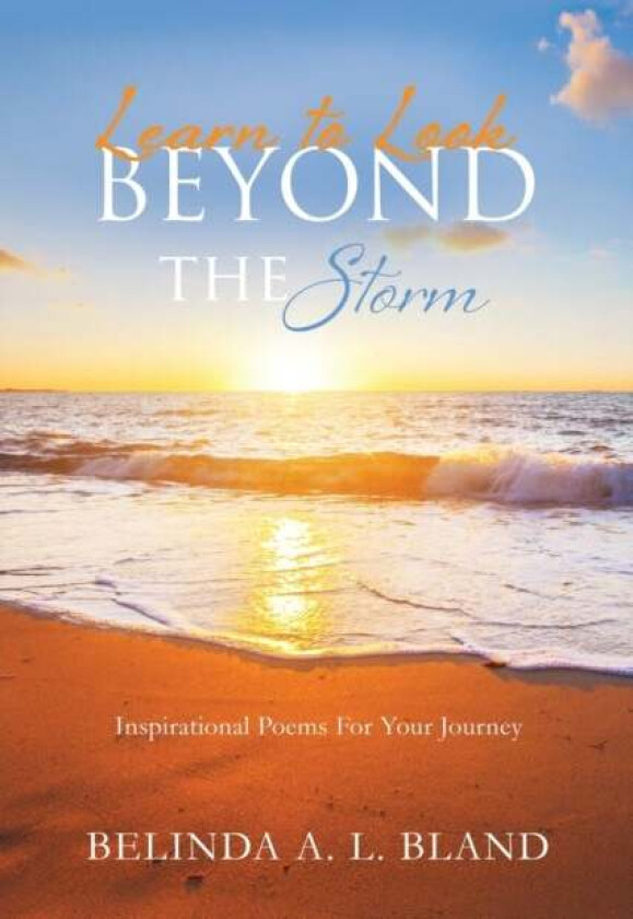 Learn to Look Beyond The Storm av Belinda A L Bland
