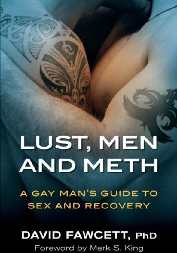 Lust, Men, and Meth av David Michael Fawcett