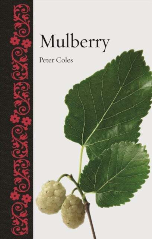 Mulberry av Peter Coles