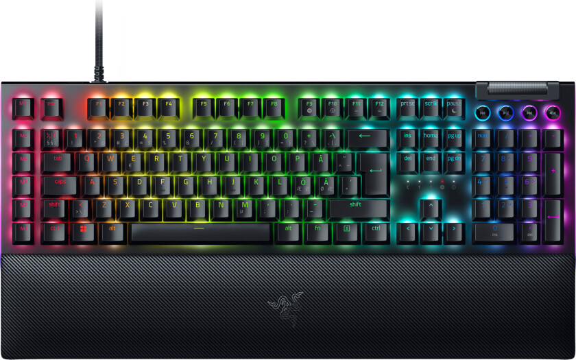 Blackwidow V4 X Mekanisk Tastatur Chroma Rgb [ Green]