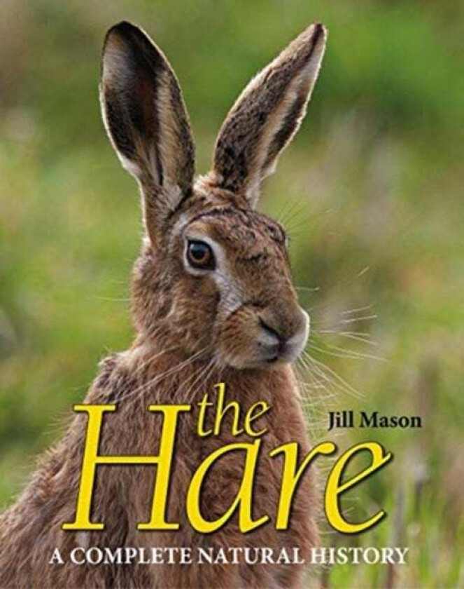 The Hare av Jill Mason