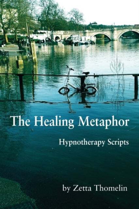The Healing Metaphor av Zetta Thomelin