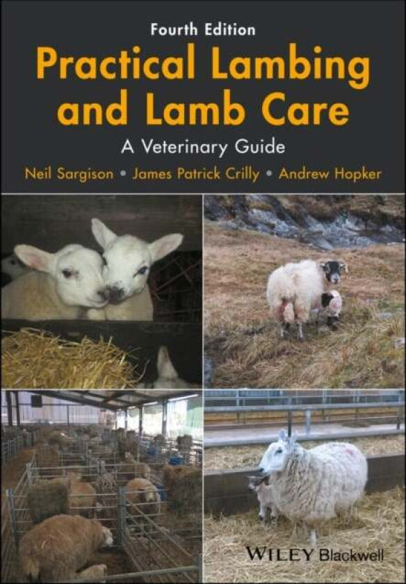 Practical Lambing and Lamb Care av Neil (University of Edinburgh) Sargison, James Patrick Crilly, Andrew Hopker