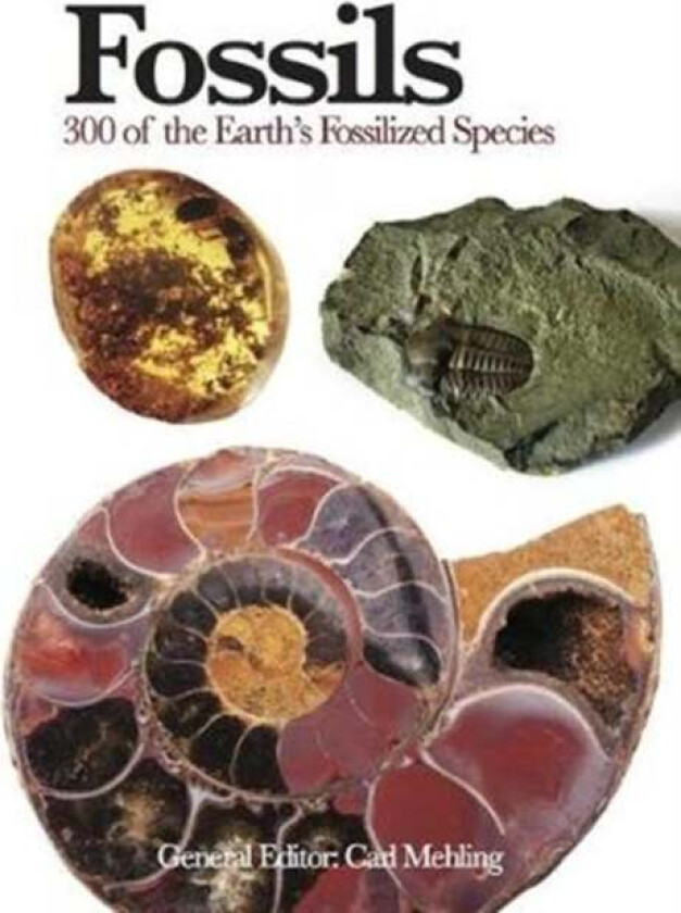 Fossils