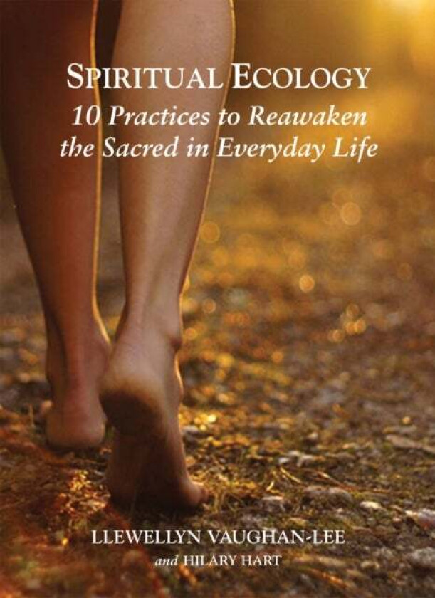 Spiritual Ecology av Llewellyn (Llewellyn Vaughan-Lee ) Vaughan-Lee