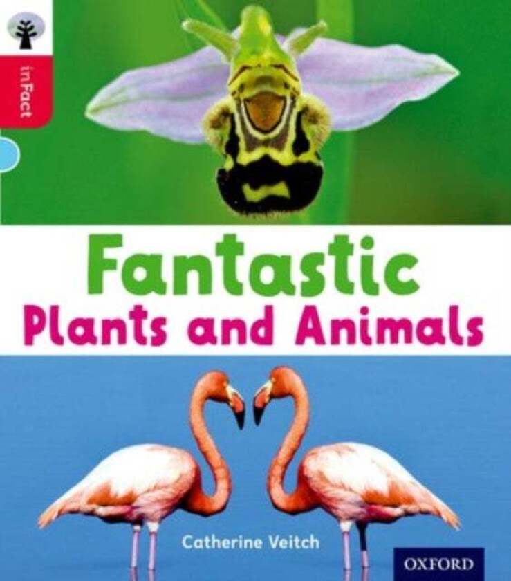 Oxford Reading Tree inFact: Oxford Level 4: Fantastic Plants and Animals av Catherine Veitch