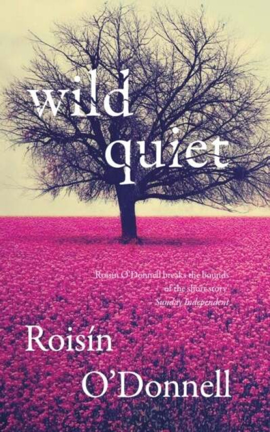 Wild Quiet av Roisin O&#039;Donnell