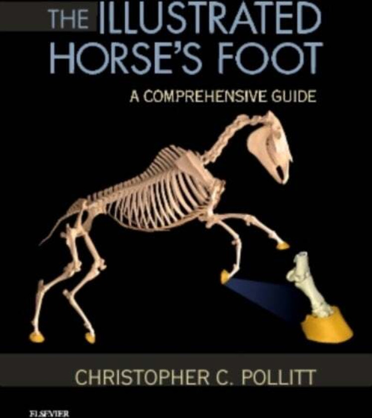 The Illustrated Horse's Foot av Christopher C. (Reader in Equine Medicine Department of Companion Animal Sciences School of Veterinary Medicine)