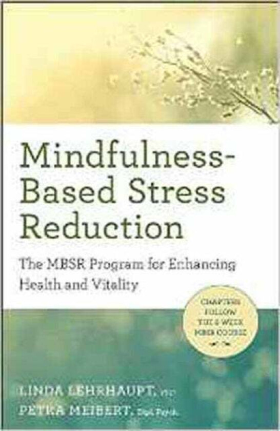 Mindfulness-Based Stress Reduction av Linda Myoki Lehrhaupt, Petra Meibert