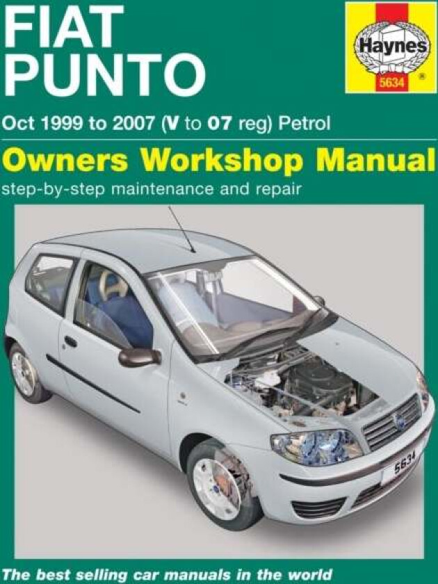 Fiat Punto Petrol av John Mead